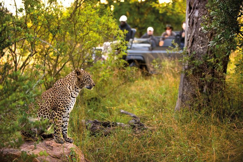 Lion Sands River Lodge Заповідник Сабі-Санд Екстер'єр фото